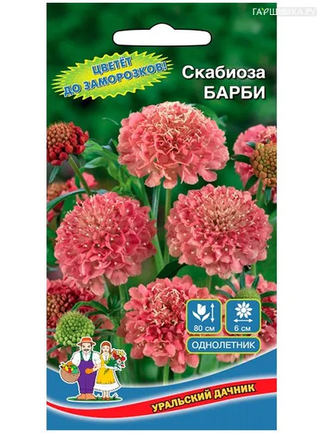 Скабиоза Барби 0,2 г