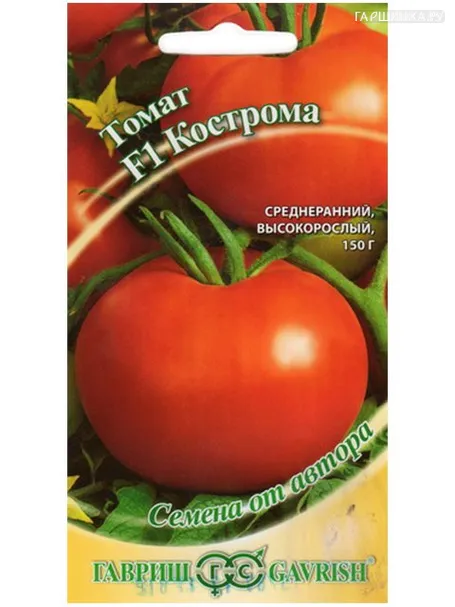 Томат Кострома