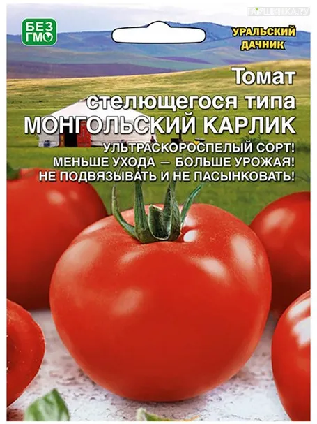 Томат Монгольский карлик, 20 шт.