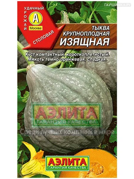 Тыква Изящная крупноплодная 2 г