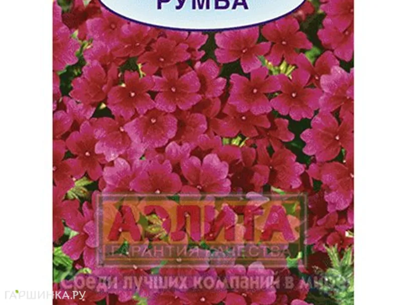 Вербена Румба гибридная 0,05