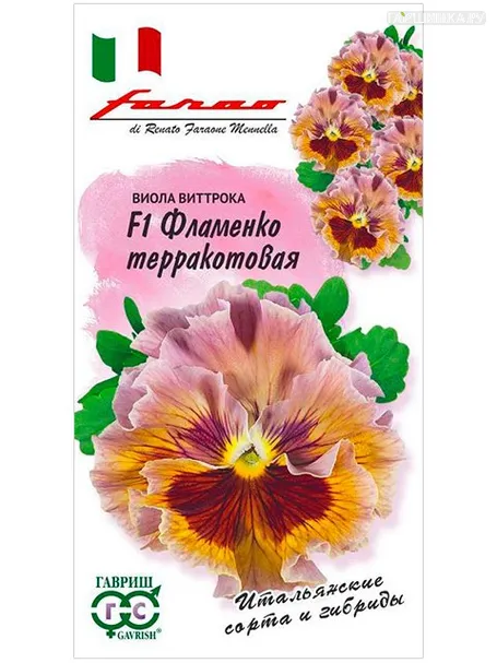 Виола Фламенко терракотовая 10 шт