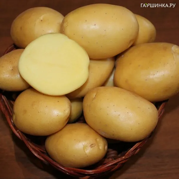 Картофель Вымпел 2 кг