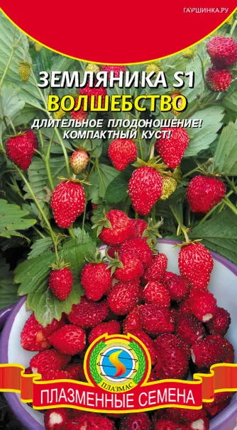 Земляника Волшебство альпийская