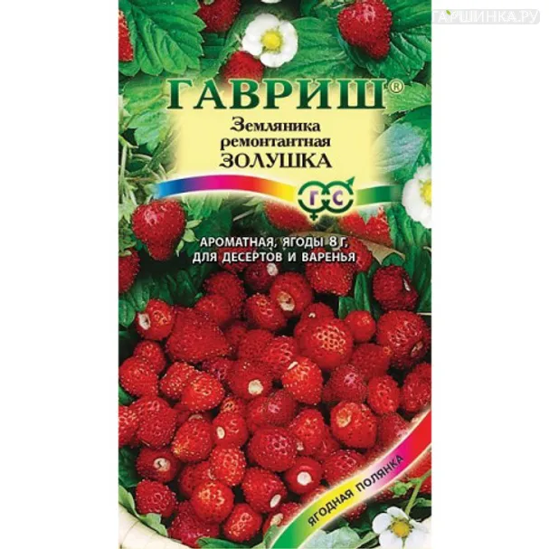 Земляника Золушка