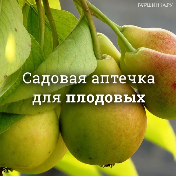 Аптечка для плодовых деревьев и кустарников