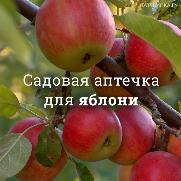 Аптечка для яблонь