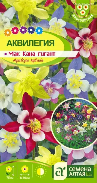 Аквилегия Маккана Гигант 0,1гр ЦП