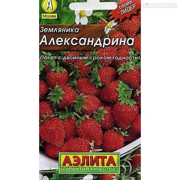 Земляника Александрина 0,05гр ЦП