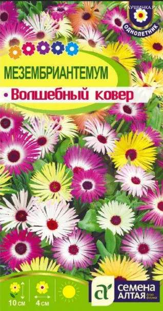 Мезембриантемум Волшебный ковер 0,1гр ЦП