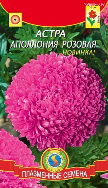 Астра Аполлония Розовая 0,2гр ЦП
