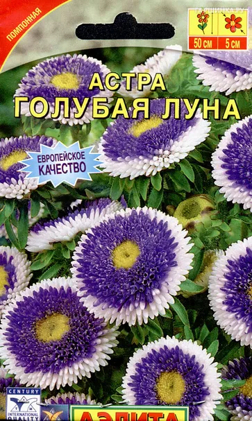 Астра Голубая луна помпонная 0,1гр ЦП