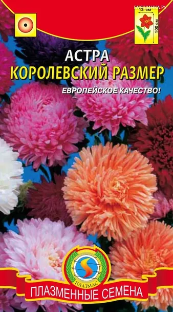 Астра Королевский размер, смесь 0,1гр ЦП