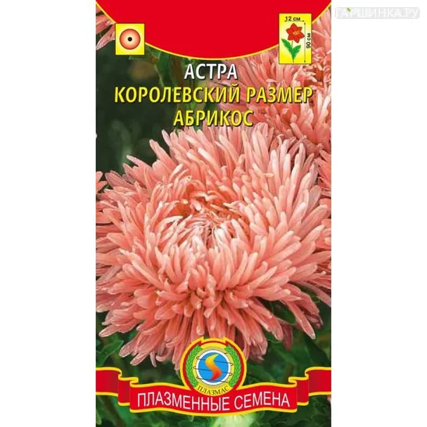 Астра Королевский размер, абрикос 0,1гр ЦП