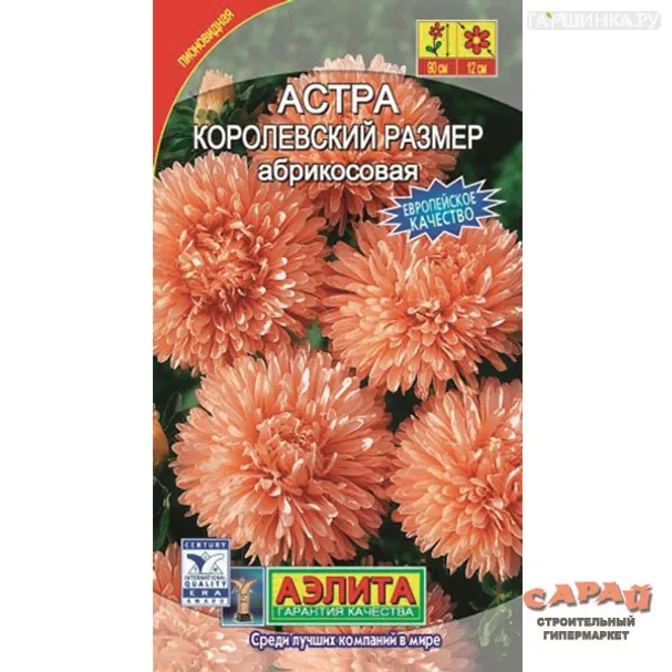 Астра Королевский размер абрикосовая 0,1гр ЦП, Семена Аэлита