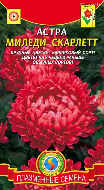 Астра Миледи Скарлетт 0,1гр ЦП