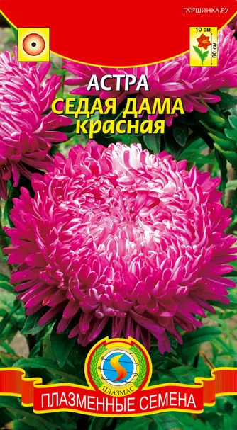 Астра Седая дама ц.п. 0,2 гр
