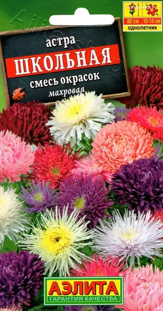 Астра Школьная 0,2гр ЦП