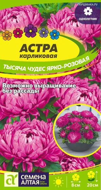 Астра Тысяча чудес 0,2гр ЦП