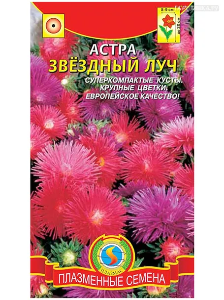 Астра Звёздный луч 0,1гр ЦП