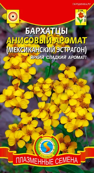 Бархатцы Анисовый аромат ц.п. 50 шт