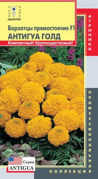 Бархатцы Антигуа Лимон F1 ц.п. 5 шт