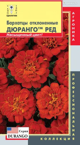 Бархатцы Дюранго Ред  ц.п. 10 шт