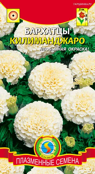 Бархатцы Килиманджаро ц.п.