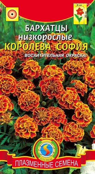 Бархатцы Королева София ц.п. 45 шт