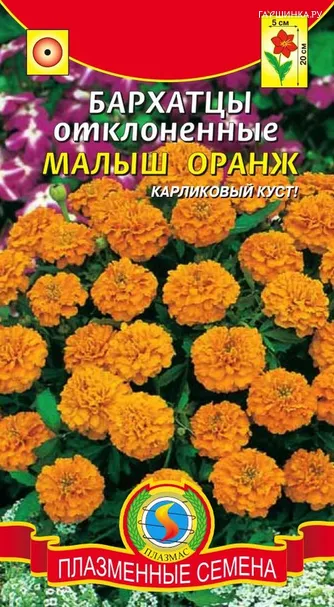 Бархатцы Малыш Оранж ц.п. 30 шт