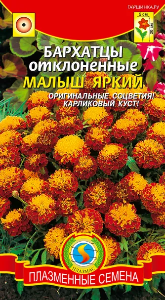 Бархатцы Малыш Яркий ц.п. 30 шт