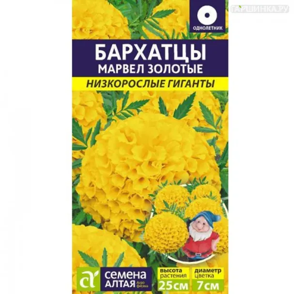Бархатцы Марвел золотые 5шт ЦП
