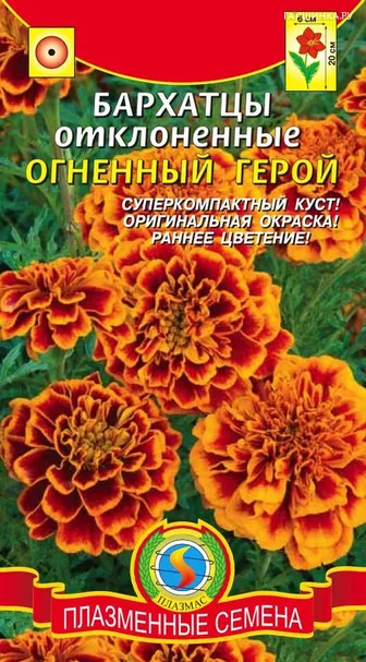 Бархатцы Огненный герой отклоненные, 15шт