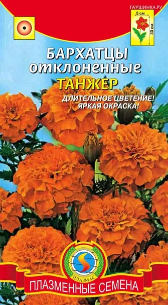 Бархатцы Танжер ц.п. 45 шт