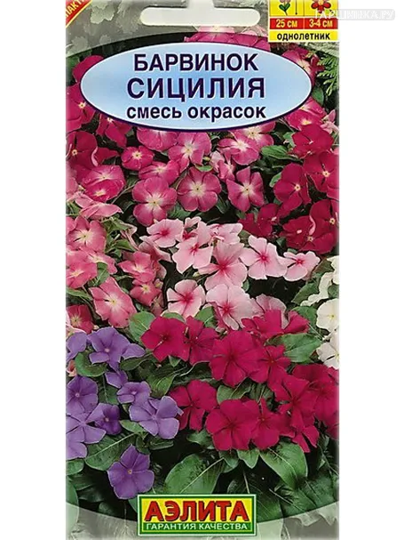 Барвинок Сицилия 0,1гр ЦП