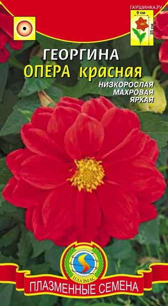 Георгина Опера Красный ц.п. 11 шт