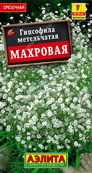 Гипсофила махровая 0,05гр ЦП