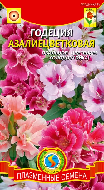Годеция азалиецветковая ц.п. 0,2гр