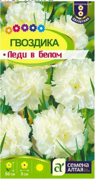 Гвоздика Леди в белом 0,1гр ЦП