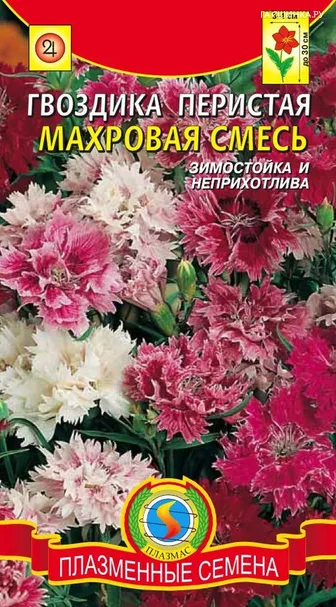 Гвоздика махровая смесь ц.п. 0,2гр