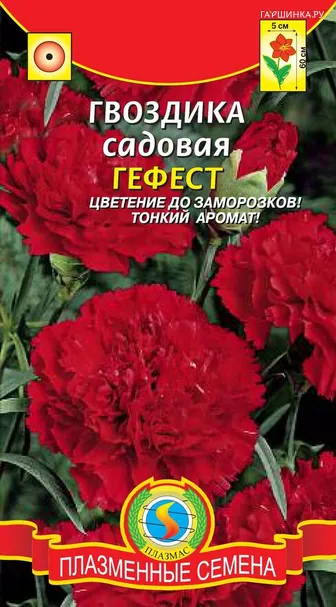 Гвоздика Гефест ц.п. 0,1гр