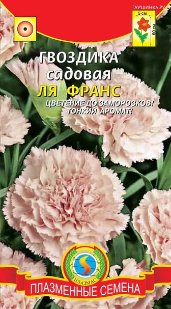 Гвоздика Ля Франс ц.п. 0,1 гр