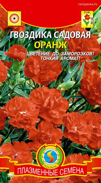 Гвоздика Оранж ц.п. 0,1 гр
