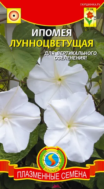 Ипомея Лунноцветущая ц.п. 5шт