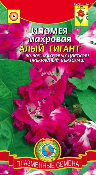 Ипомея  Алый гигант ц.п. 5шт