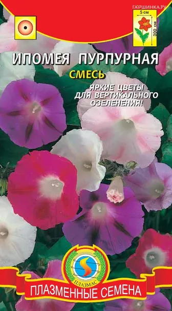Ипомея Пурпурная смесь ц.п. 0,5гр
