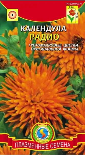 Календула Радио ц.п. 0,3гр
