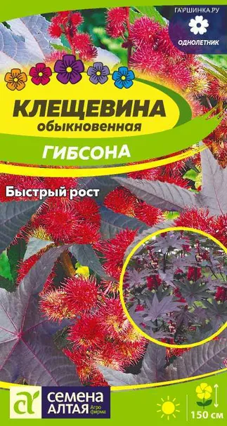 Клещевина Гибсона 3шт