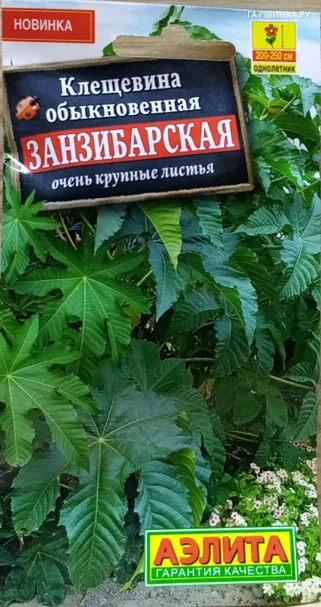 Клещевина Занзибарская 2гр ЦП