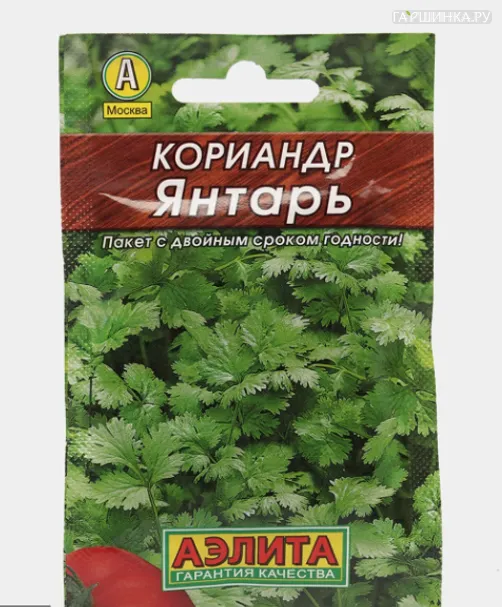 Кинза (Кориандр) Янтарь 3 г ЦП